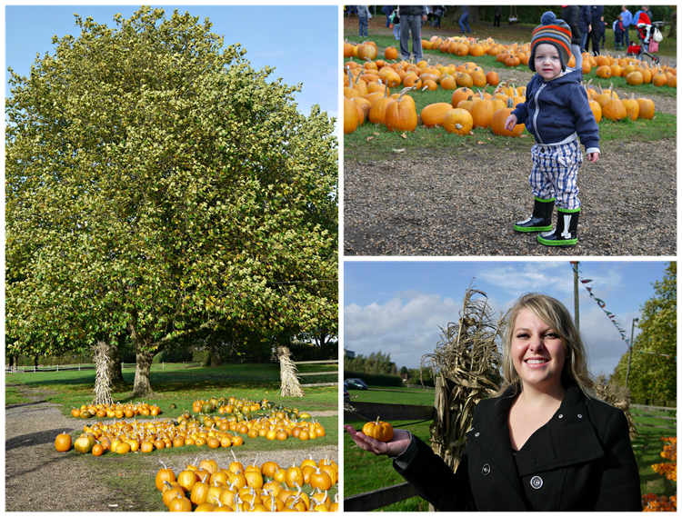 PicMonkey Collage3