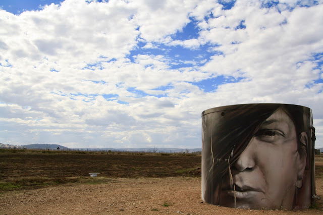 Winton Wetlands Landscape Art Guido Van Helten