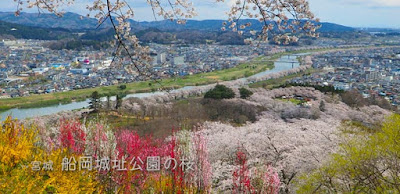 船岡城址公園（宮城）の桜は絶景！