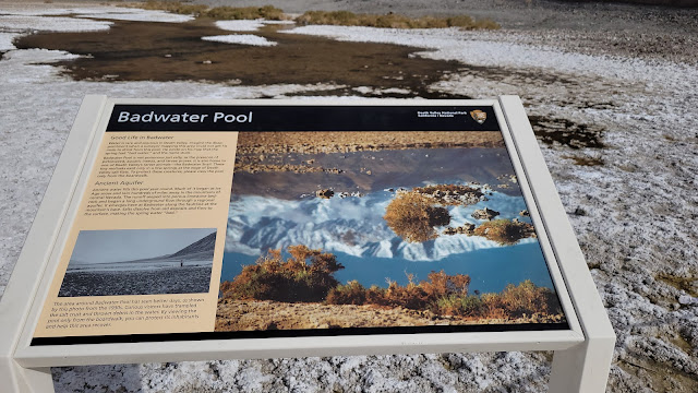 Badwater Pool information