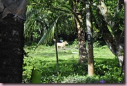 _DSC0330