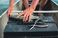 17 Electrical Tools You May Need to read
