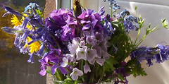 Posy close-up
