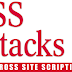 What is XSS (Cross Site Scripting)