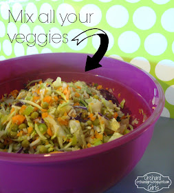 Ramen Noodle Salad - OrchardGirls.blogspot.com