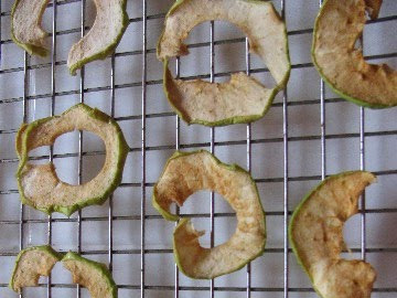 Making Dried Apple Rings in the Warming Drawer