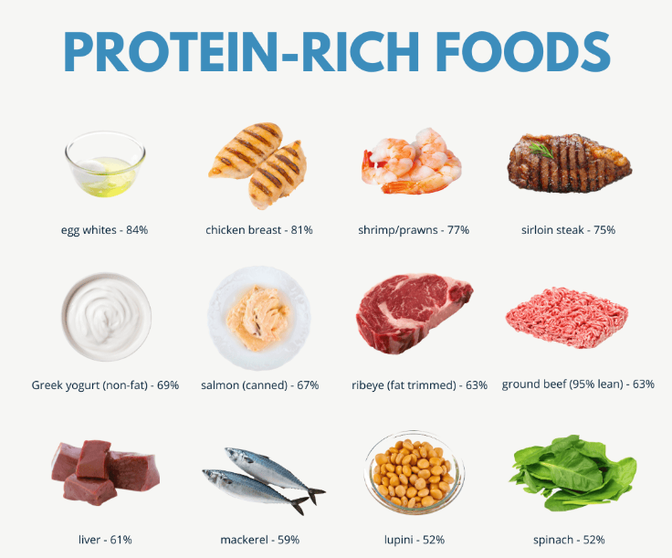 High Protein Foods