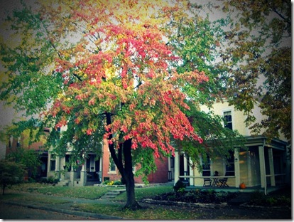 Home. October 19, 2010