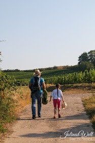 Wanderung bei Bechtheim durch die Weinberge des Wonnegau