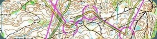 карта соревнований личный чемпионат Украины, средняя дистанция