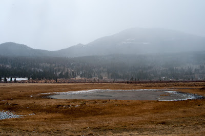 Sheep Lakes