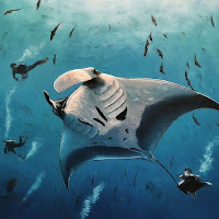Underwater Eco Tourism
