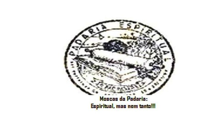 MOSCAS DA PADARIA
