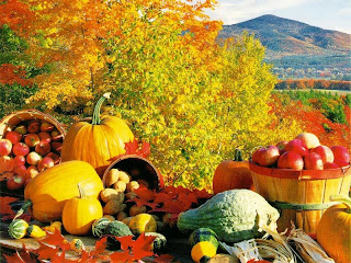 Fall Harvest Wallpaper