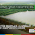 Governo realiza sessão de continuidade da licitação da Ponte do Rio Pericumã