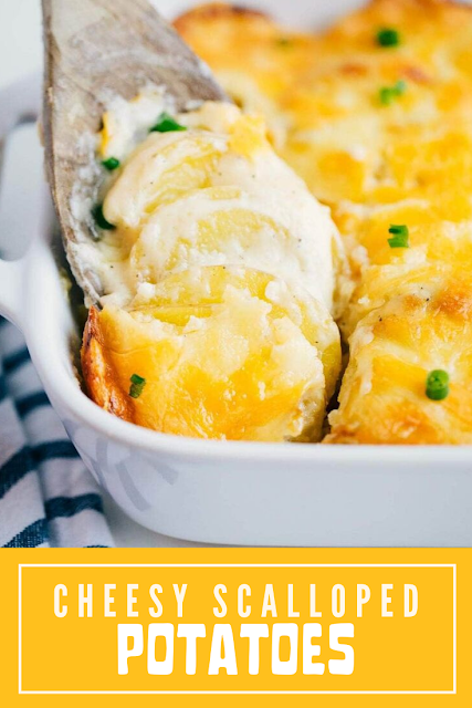  These cheesy scalloped potatoes are a classic and staple at any holiday dinner ★★★★★ 174 - CHEESY SCALLOPED POTATOES