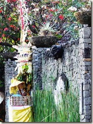 DSCF9268