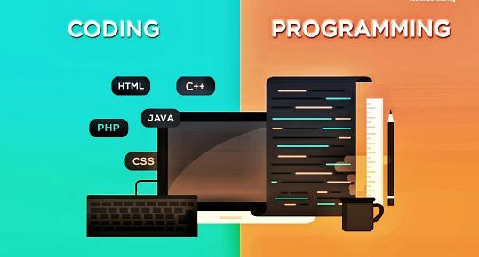 Coding Vs Programming: What's the difference, and Which is Easier To Learn | Education