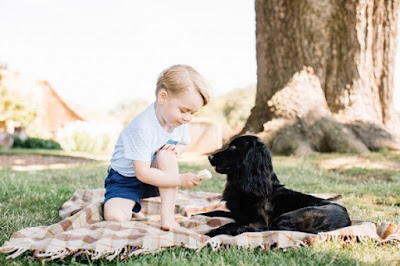 New Photos Of Prince George Released To Celebrate His Third Birthday