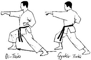 Kihon Ido Shiki e Kihon Kotei Shiki Entenda as Diferenças e a Importância no Treinamento de Karatê