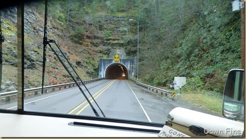 mushrooms-and-drive-to-eugene_080_th