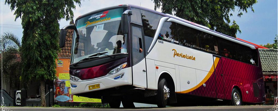 bus pariwisata shelota wisata