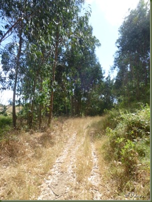 P1100129