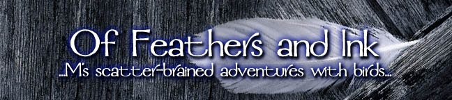 Of Feather and Ink