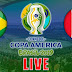 Brazil vs Peru - Live - En Vivo - En Direct - مباشر -  Final - Copa America