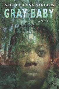Gray Baby (English Edition)