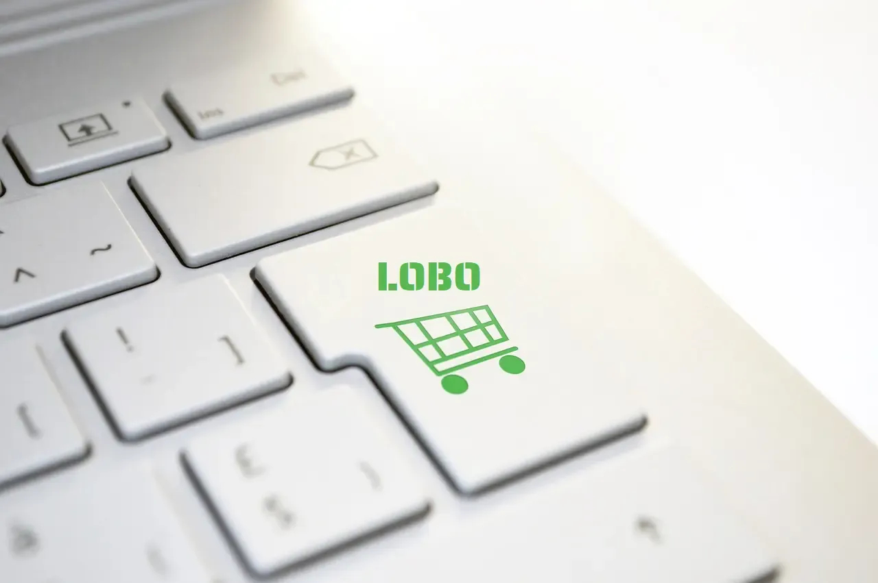 Top 10 e-commerce sites