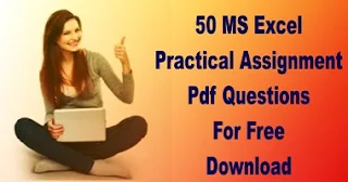 Download 50 MS Excel Practical Assignment Pdf Questions Free for Practice