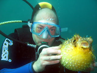 Puffer Fish