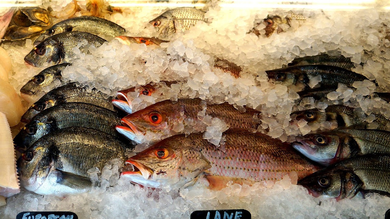 Legal Sea Foods Fish