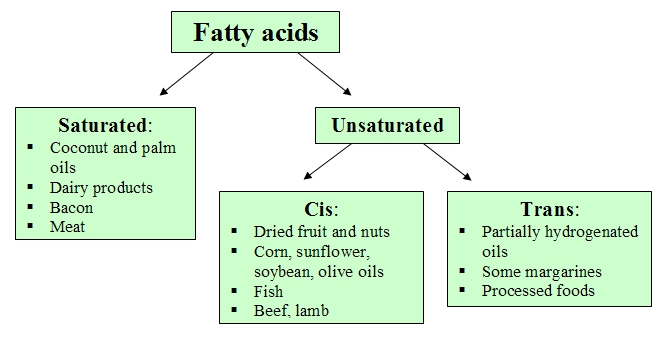 Classification of fatty acids