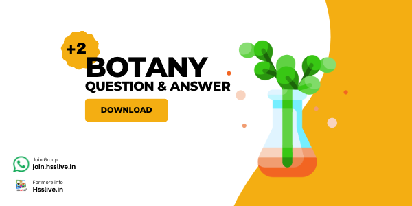Plus Two Botany: Chapterwise Important Questions & Answers by Nandini K N