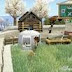 Harvest Moon A Wonderful Life-Download Pc Games-Full Version-Free