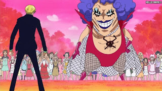 ワンピースアニメ 510話 カマバッカ王国 イワンコフ | ONE PIECE Episode 510