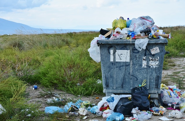 Tak Terduga, Singapura Jadi Negara Pembuang Sampah Terbanyak di Dunia, naviri.org, Naviri Magazine, naviri majalah, naviri