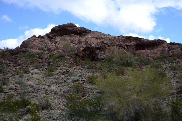 shallow caves in the rock