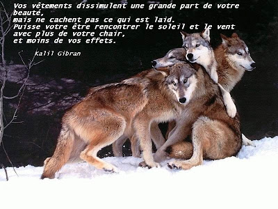 [Téléchargement populaire! ] etre et paraitre citation 188612-être et paraître citation
