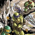 Teenage Mutant Ninja Turtles - Issue 29 (Cover + Info)