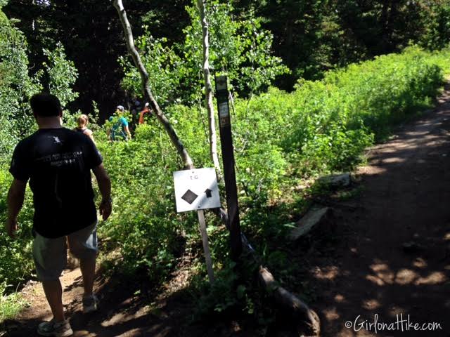 Hiking the Red Cloud Trail, Deer Valley Ski Resort