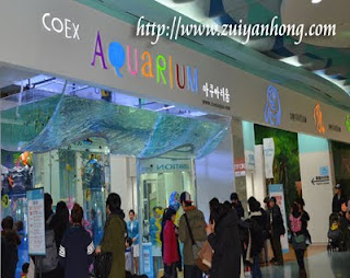 Coex Aquarium