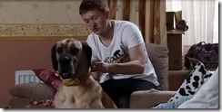 May-12-2011-schmeichel-collar