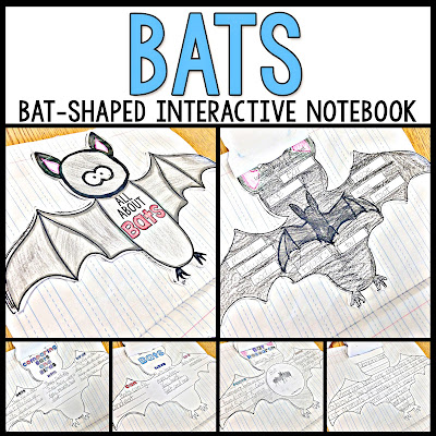 bats research