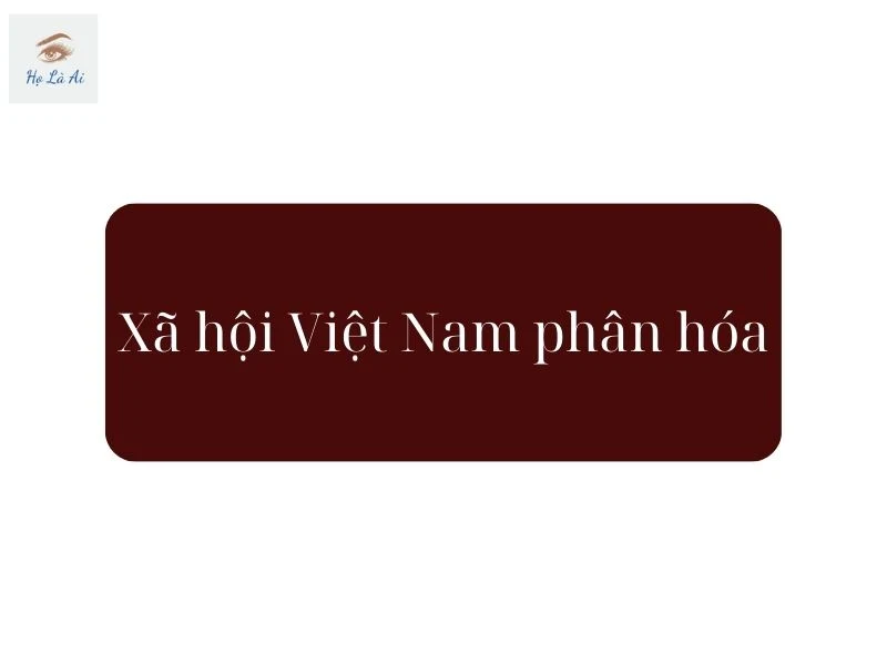 Xã hội Việt Nam phân hóa