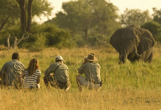 Safari jalan kaki di Zimbabwe