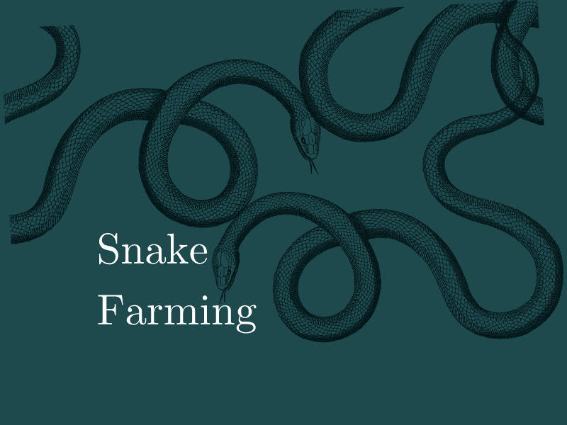 Snake Farming in India