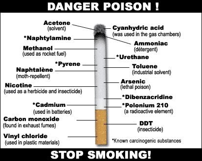 Denpruut::::: Kandungan Pada Rokok